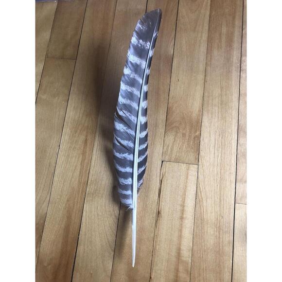 WILD TURKEY FEATHER Real Foraged Massachusetts 9 - 12 inch Set of three feathers - Picture 2 of 5